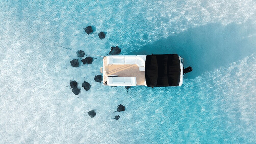 An aerial view of a boat with a white deck and black seating, surrounded by clear turquoise water and several dark rocks. 2
