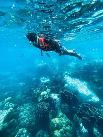 Picture 7 for Activity Zanzibar: Mnemba Island Snorkeling with Transfer & Lunch 2