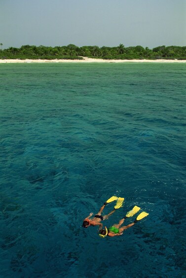 Picture 6 for Activity Zanzibar: Mnemba Island Snorkeling with Transfer & Lunch 5