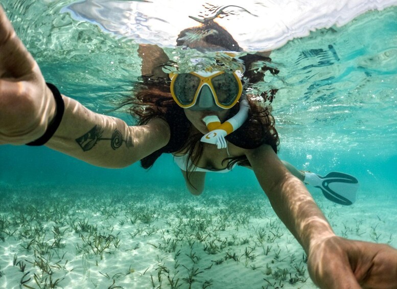 Picture 2 for Activity Zanzibar: Mnemba Island Snorkeling with Transfer & Lunch 3