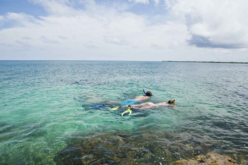 Picture 8 for Activity Zanzibar: Mnemba Island Snorkeling with Transfer & Lunch 4