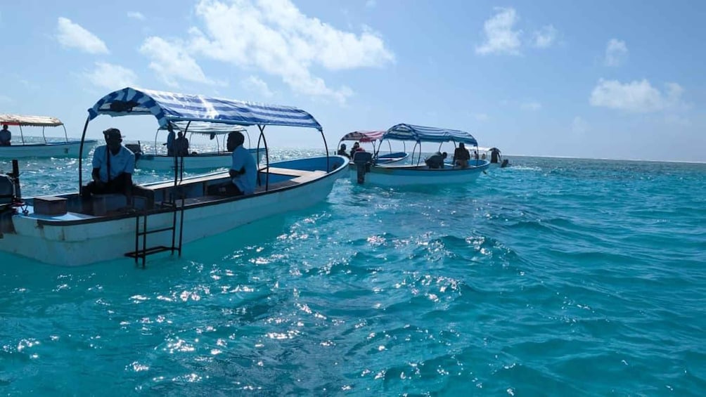 Picture 19 for Activity Zanzibar: Mnemba Island Snorkeling with Transfer & Lunch 3