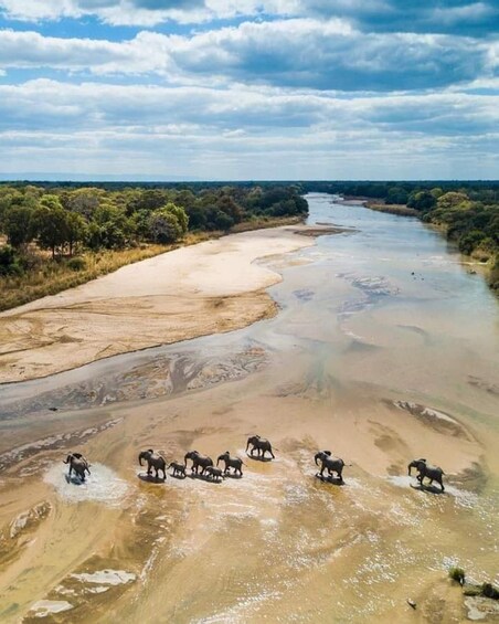 Zanzibar: Tarangire National Park and Ngorongoro Group Tour 1