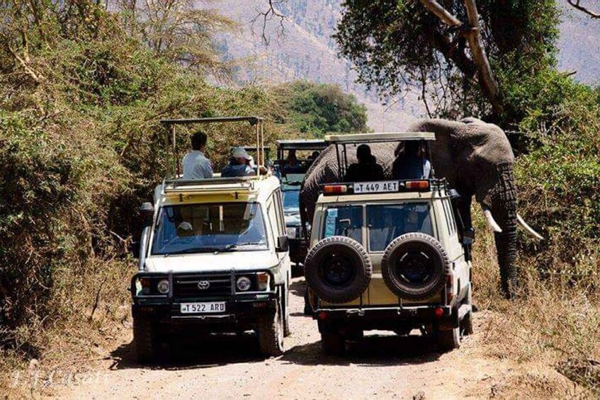 Picture 2 for Activity Zanzibar: Tarangire National Park and Ngorongoro Group Tour 4