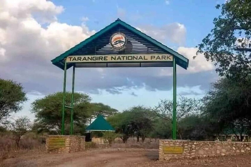 Picture 7 for Activity Zanzibar: Tarangire National Park and Ngorongoro Group Tour 3