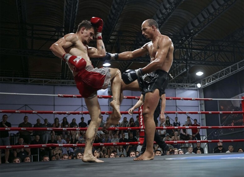 Two boxers in a ring, one delivering a kick to the other. 2