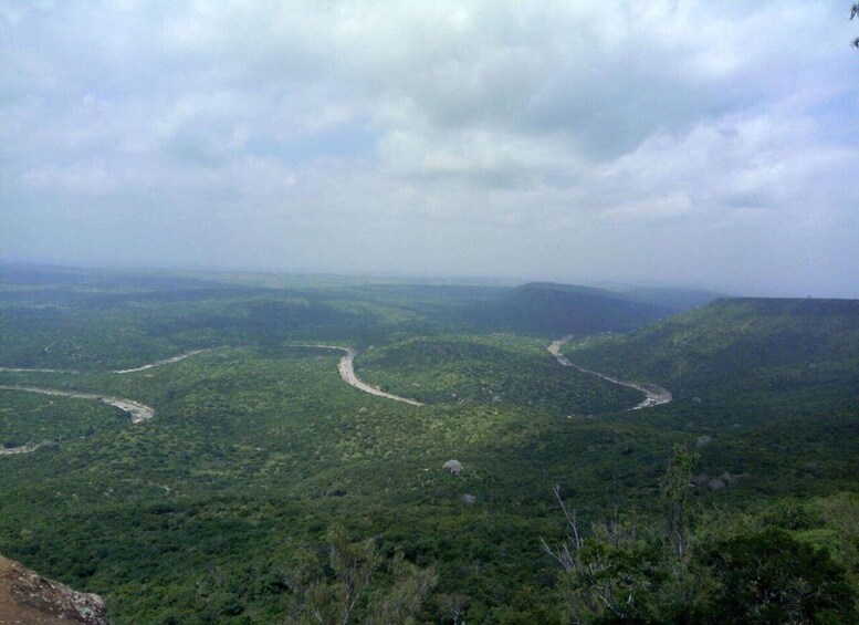 A vast landscape with winding roads through a dense forest. 2