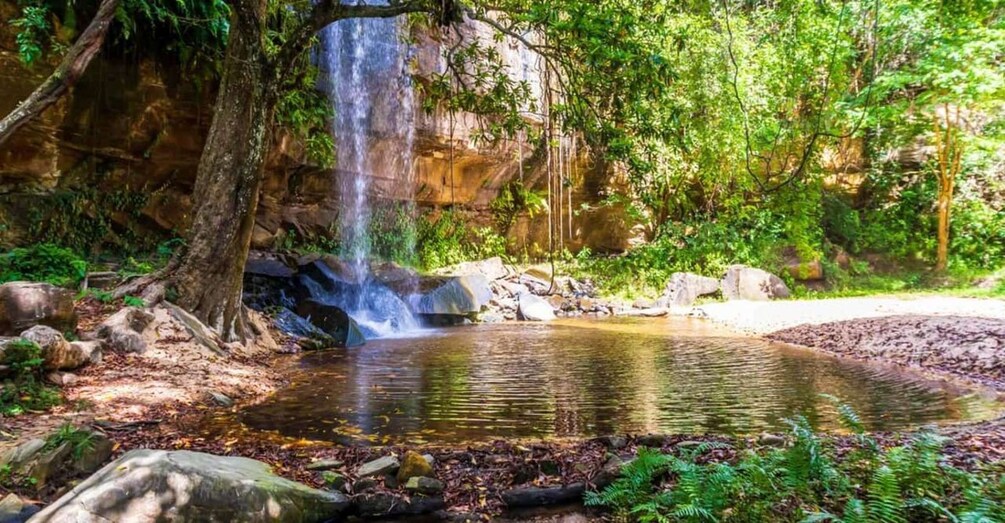 A waterfall cascading into a clear pool surrounded by rocks and greenery. 1