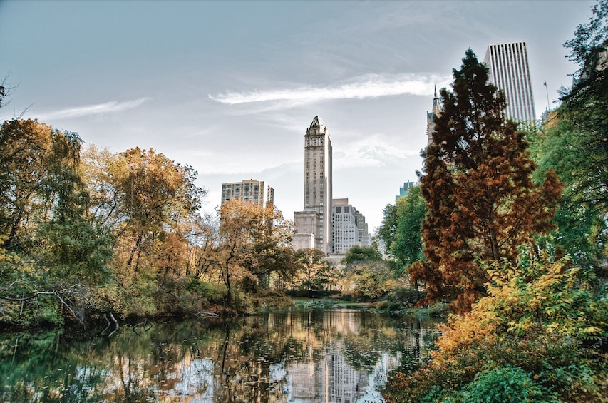 Central Park, NYC 1