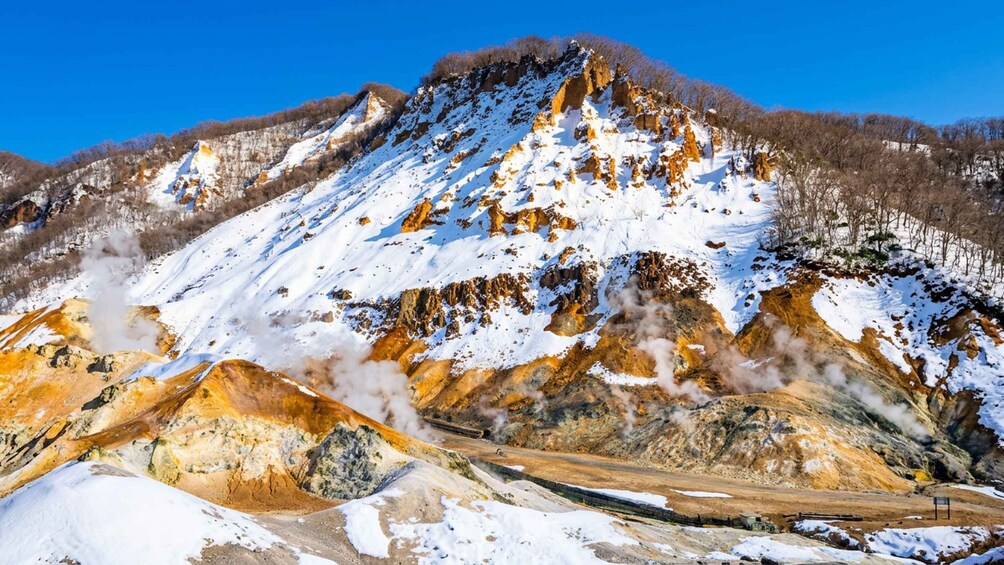 Picture 8 for Activity Sapporo: Lake Toya & Hell Valley Day Trip with Mt. Yotei 5