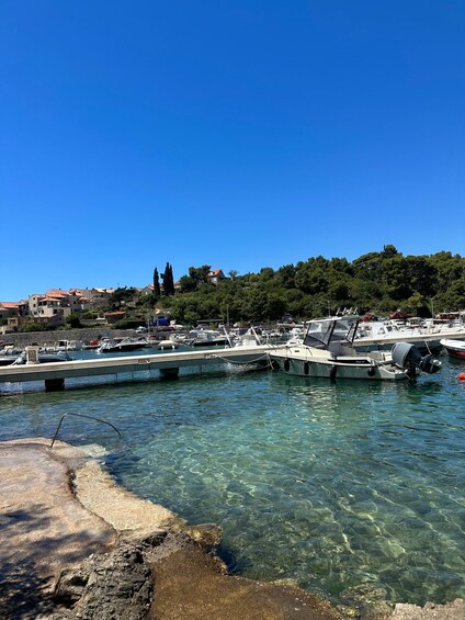 A marina with boats docked, clear water, and buildings in the background. 5