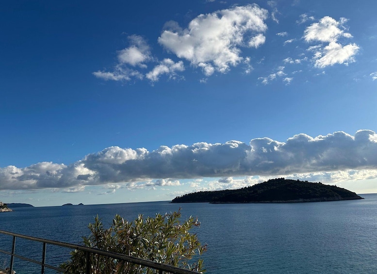 A coastal landscape with a clear sky, calm sea, and a small island in the distance. 4
