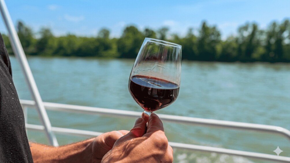 A person holding a glass of red wine, with a lake and trees in the background. 2