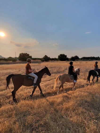 Three people riding horses in a field with a sunset in the background. 5
