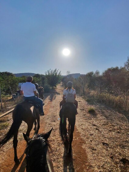 Two people riding horses on a dirt path with a clear sky and sun in the background. 2