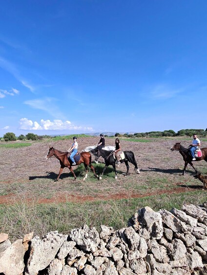Un grupo de personas montando a caballo a través de un campo, con un muro de piedra al frente. 5