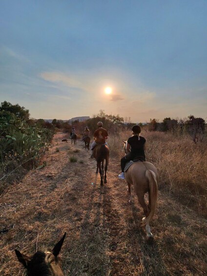 A group of people riding horses along a dirt path with sparse vegetation and a clear sky. 2