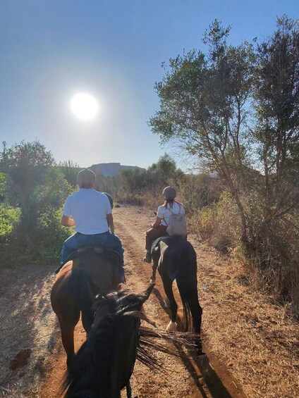 Two people riding horses on a dirt path with trees and a clear sky. 3