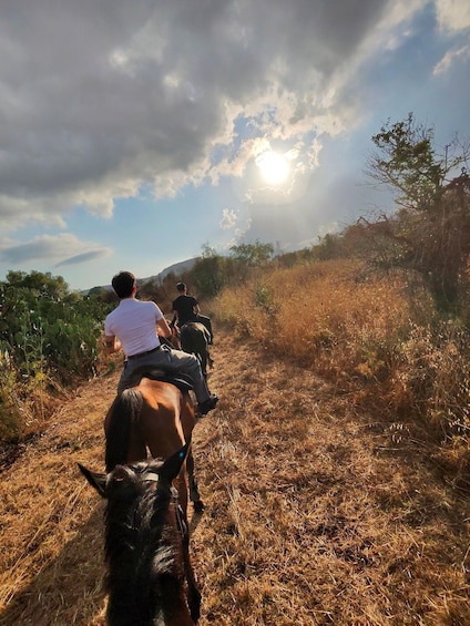 Picture 9 for Activity Siracusa: Horseback Riding Experience with Instructor 2