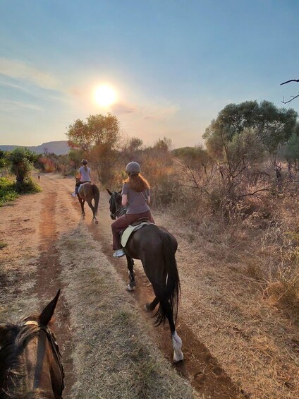 Two people riding horses on a dirt path with trees and shrubs on either side. 3