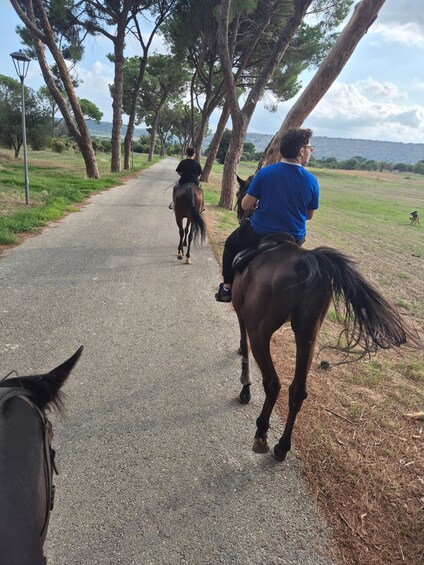 Dos personas cabalgando por un sendero pavimentado rodeado de árboles. 3