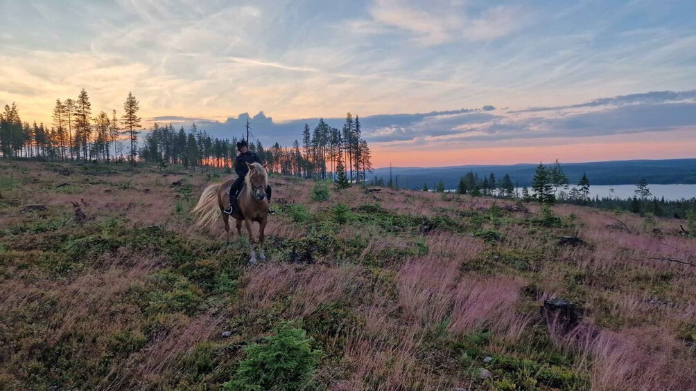 A person riding a horse on a grassy hillside with a forest and lake in the background. 1