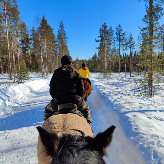 Two people riding horses on a snow-covered trail through a forest. 2