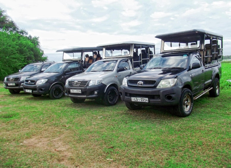 A row of Toyota SUVs parked on grass with a cloudy sky in the background. 2