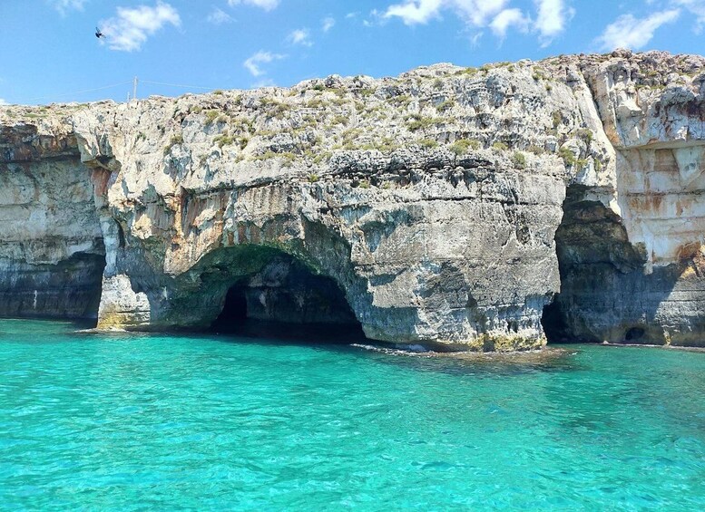 Santa Maria di Leuca: Capo di Leuca Boat Tour 1