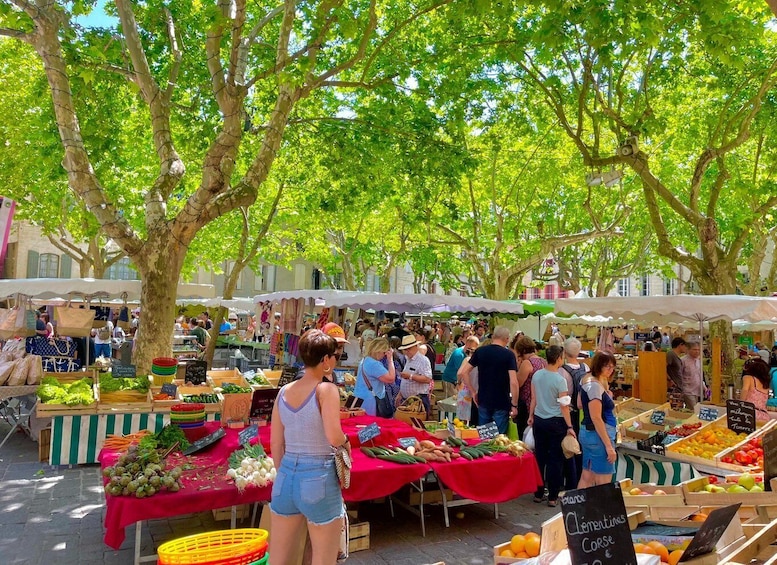 A bustling outdoor market with various stalls selling fresh produce under large trees. 3