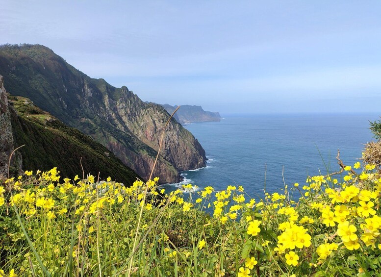 A coastal landscape with cliffs and yellow flowers in the foreground. 3