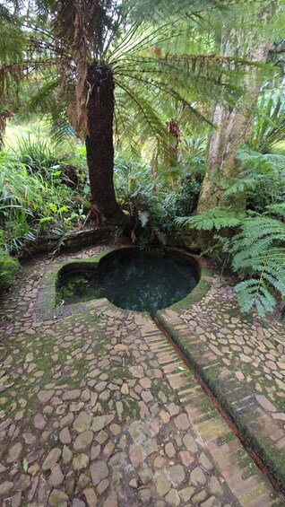Picture 40 for Activity Table Mountain Kirstenbosch World of Birds & Diamond Factory 3