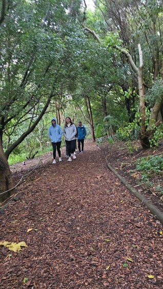 Picture 38 for Activity Table Mountain Kirstenbosch World of Birds & Diamond Factory 4