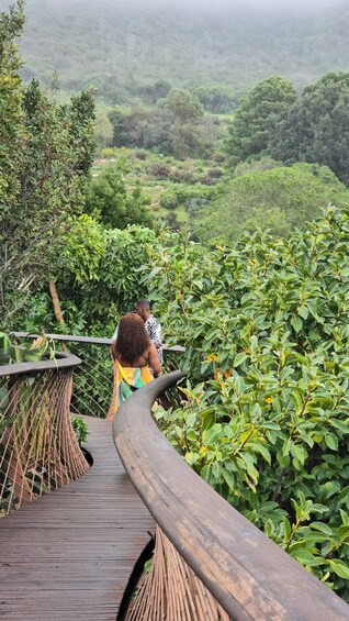 Picture 37 for Activity Table Mountain Kirstenbosch World of Birds & Diamond Factory 2