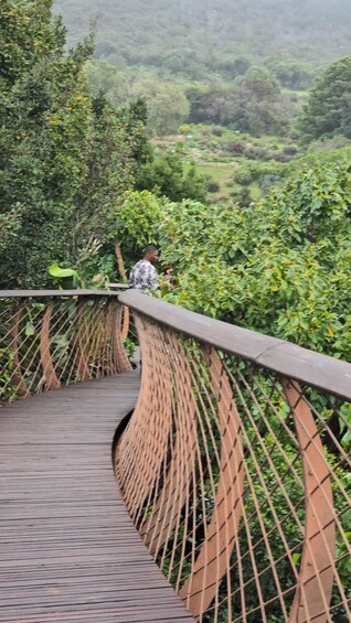Picture 39 for Activity Table Mountain Kirstenbosch World of Birds & Diamond Factory 5