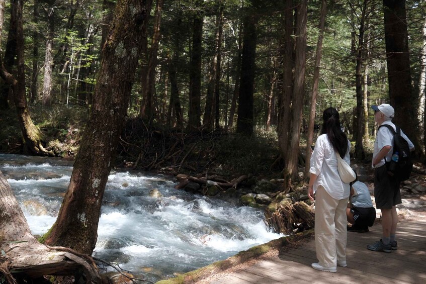 A river flowing through a forest with people standing on a wooden bridge. 5