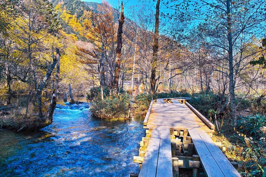 A wooden bridge over a flowing river surrounded by autumn-colored trees. 4