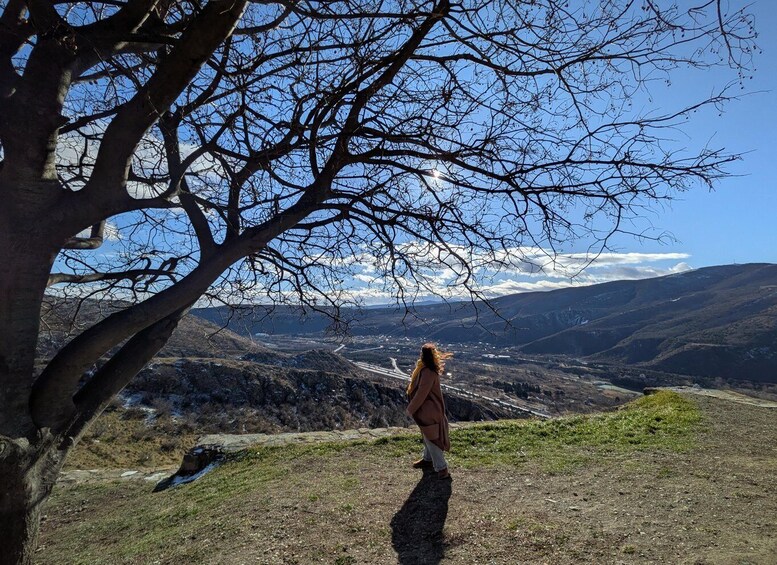 A person standing under a tree on a hillside overlooking a valley with mountains in the distance. 1
