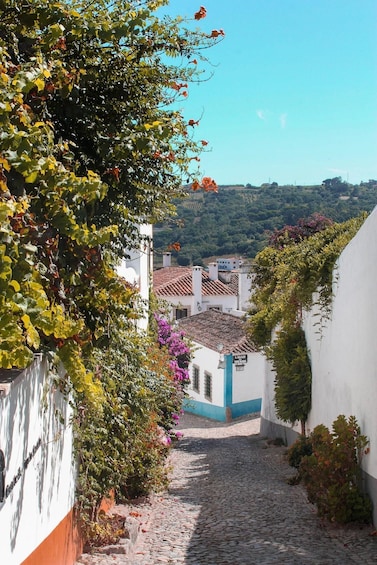 A cobblestone street flanked by white buildings with blue trim, leading to a hill with vineyards and a clear blue sky. 4