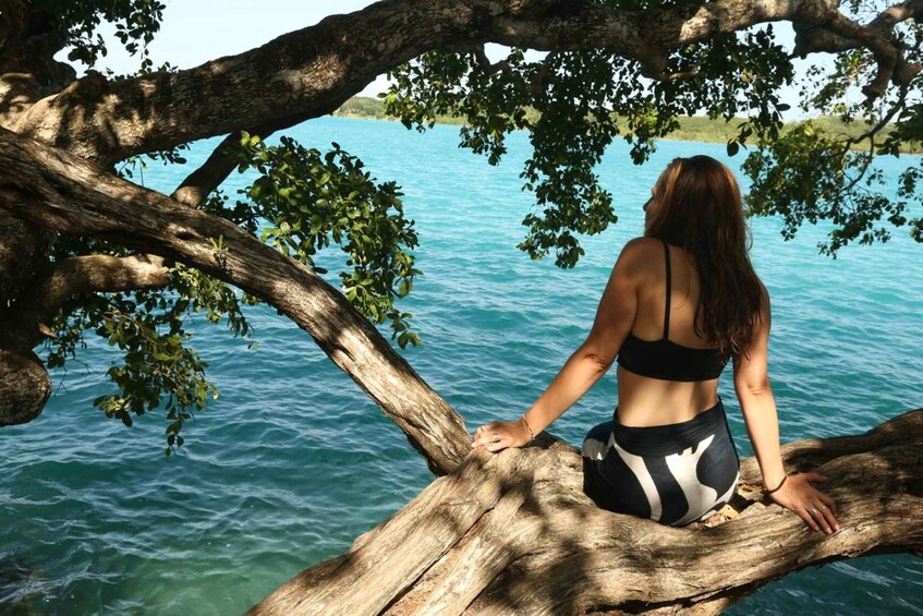 Picture 3 for Activity Ichkabal & Blue Cenote: Bacalar's best-kept secrets 2