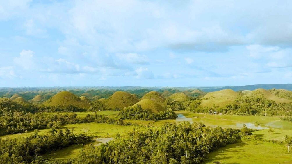 Bohol: Chocolate Hills & Tarsiers Private Tour with Driver 1