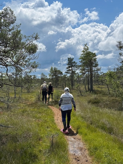 Picture 13 for Activity From Riga: Bog-Shoe Walk in Latvia’s Wild Nature ENG or DE 2