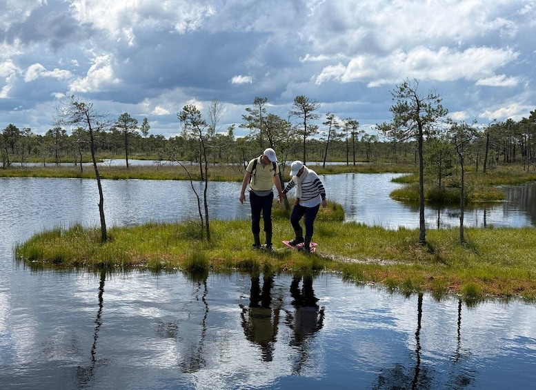 Picture 11 for Activity From Riga: Bog-Shoe Walk in Latvia’s Wild Nature ENG or DE 3
