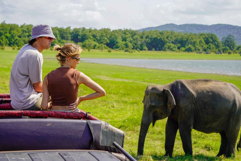 Two people on a vehicle with an elephant nearby. 4