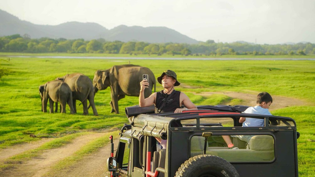A safari vehicle with a person taking a photo, a child, and elephants in a grassy field. 1