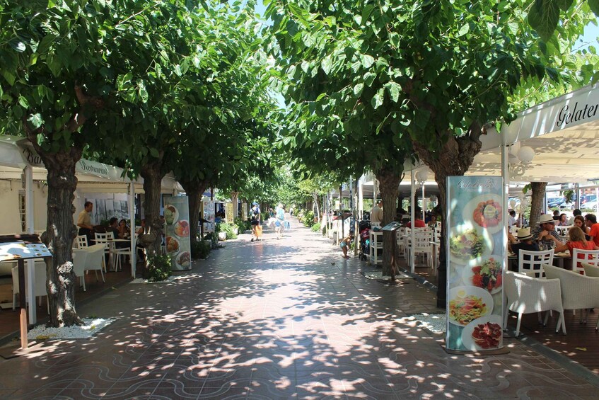 An outdoor café area with tables and chairs under tree canopies. 2