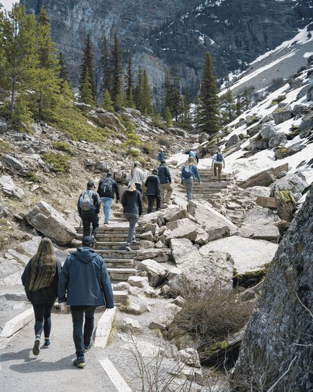 Picture 10 for Activity Sunrise or Sunset/Stargazing Tour at Moraine Lake from Banff 3