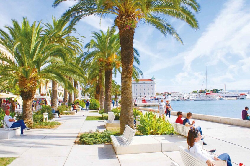 A waterfront promenade with palm trees, benches, and people relaxing. 3
