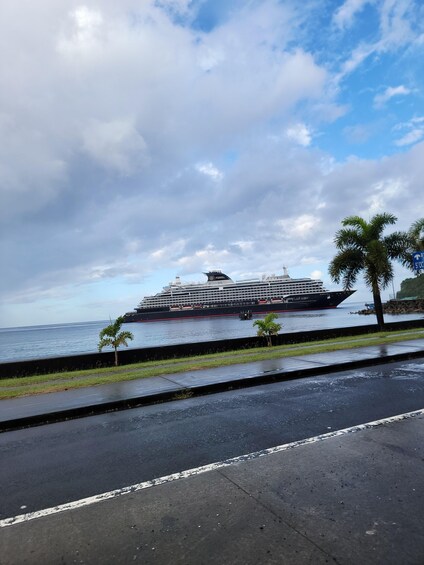 Picture 7 for Activity From Roseau: Scenic tour of Waterfalls, Gorge & Beach 3