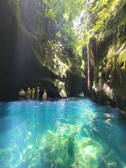 Picture 17 for Activity From Roseau: Scenic tour of Waterfalls, Gorge & Beach 5